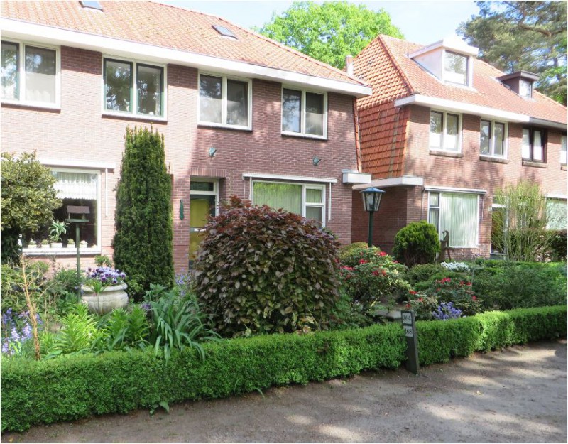 In de buurt.JPG