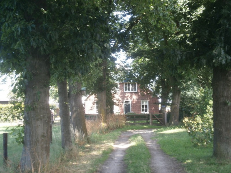 raad de plek (2).JPG