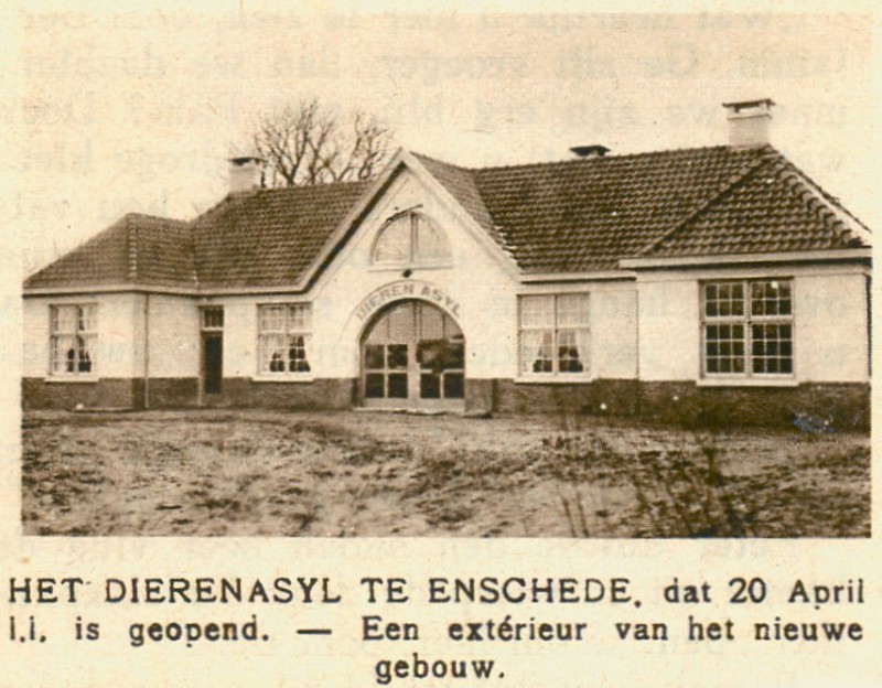 Adam Pijnackerstraat 20 vroeger Zweringspad -4-1929 Dierenasiel   gebouw dat op 10 juli 1964 werd gesloten en daarna gesloopt..jpg
