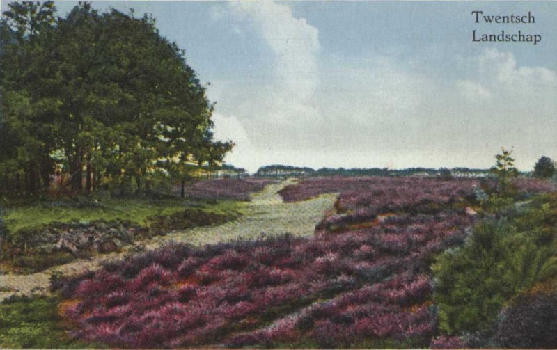 twente landschap 1940.jpg