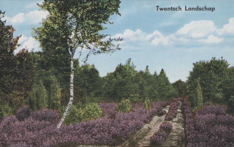 twente landschap 1940 2.jpg