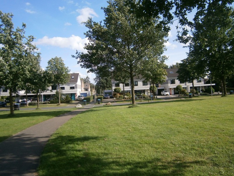 raad de plek.JPG