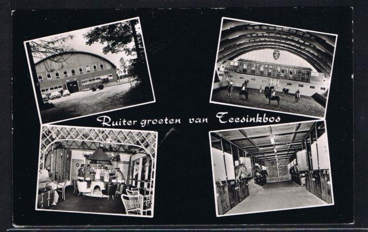 Groeten uit Teesinkbos Boekelo.JPG