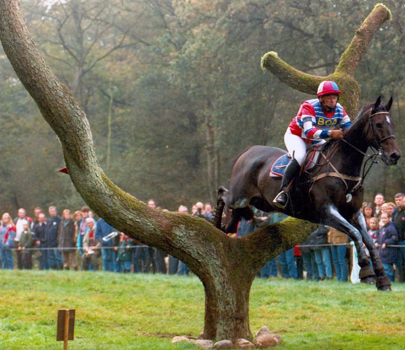 Boekelo Military Ruiter en paard tijdens de cross-country wedstrijd op de Military van Boekelo. Het hoofdterrein is in Usselo.jpg