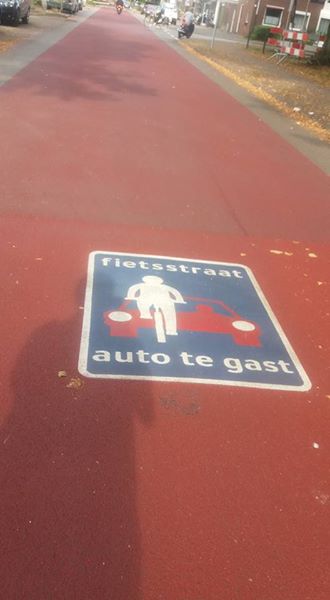 Wethouder Elhorststraat fietsstraat auto te gast.jpg