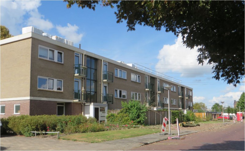 2016 09 26 Bomen worden gerooid aan de Otto van Taverenstraat   b.JPG