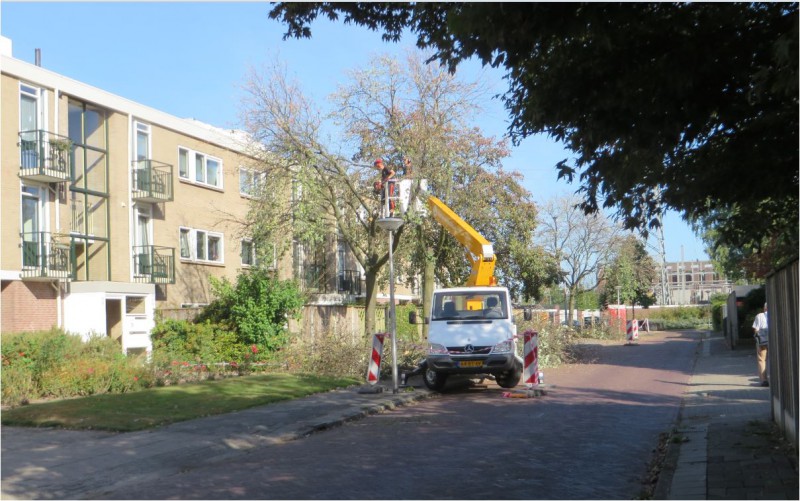 2016 09 26 Bomen worden gerooid aan de Otto van Taverenstraat   a.JPG