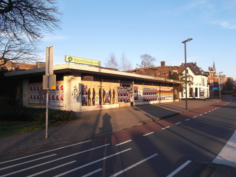 Molenstraat hoek Deurningerstraat vm pand bloemenwinkel De Eeuwige Lente.JPG