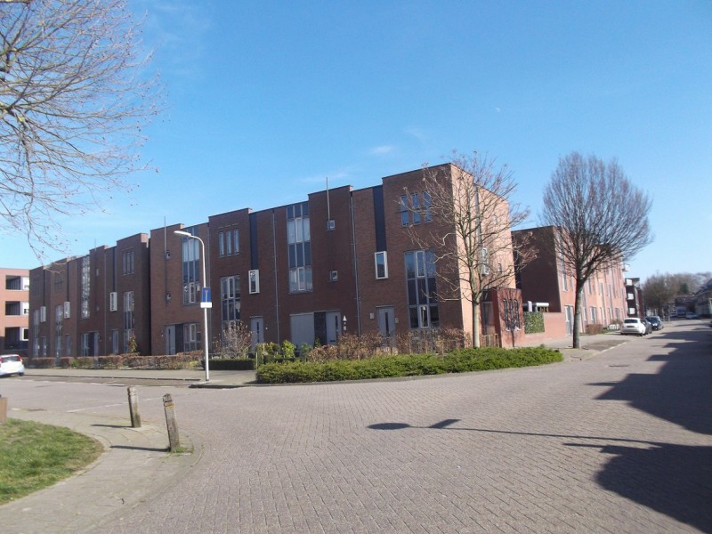 Borneostraat 9-3-2014.JPG