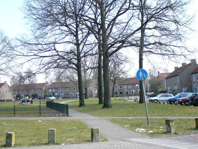 Acaciaplantsoen 2-4-2013.jpg