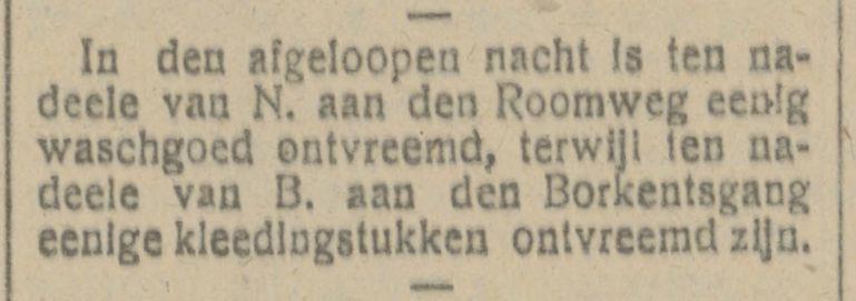 Borkentsgang krantenbericht Tubantia 21-4-1920.jpg