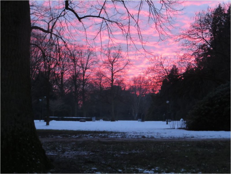 2017 01 18 Volkspark  beeldengroep.JPG