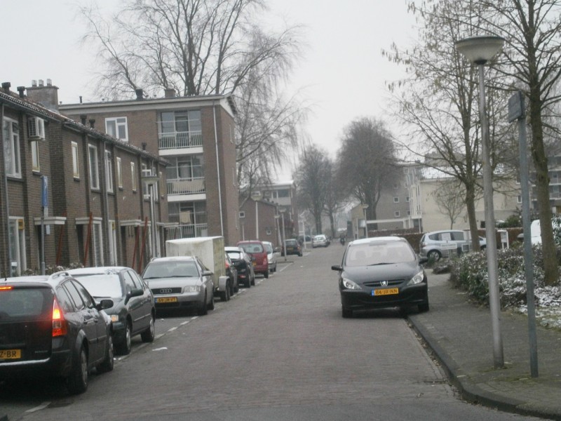 Adriaen van Ostadestraat 9-2-2017.JPG