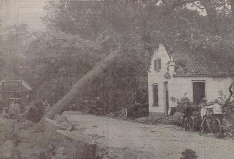 Hengelosestraat Tolhuis na cycloon van 10-08-1925 met 100 omgewaaide bomen.jpg