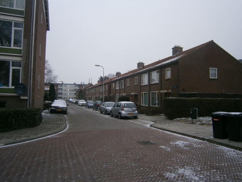 Jacob van Ruysdaelstraat 10-2-2017 (2).JPG