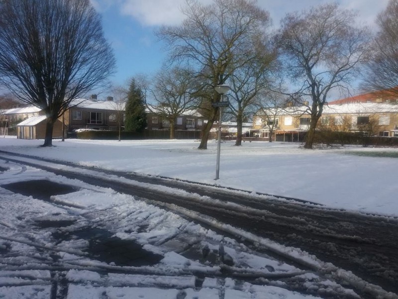 Frans Halsstraat vanaf S.L. Louwesstraat sneeuw 13-1-2017 (2).jpg