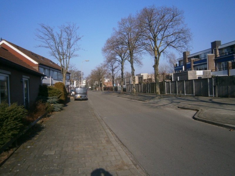 Adriaen Brouwerstraat vanaf Jan Vermeerstraat 13-2-2017.JPG