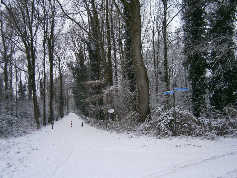 Zwerirngbeekweg hoek Zweringhoekweg 24-1-2015.JPG