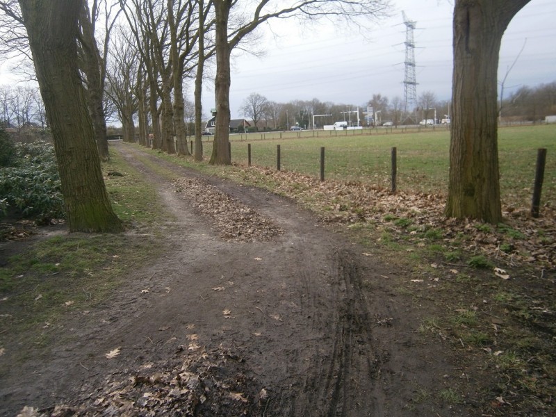 Zweringbeekweg richting Haaksbergerstraat 4-3-2017.JPG