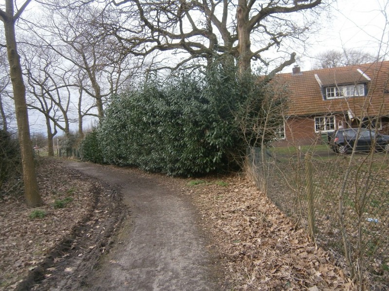 Zweringbeekweg 4-3-2017 buigt hieraf naar Haaksbergerstraat .JPG