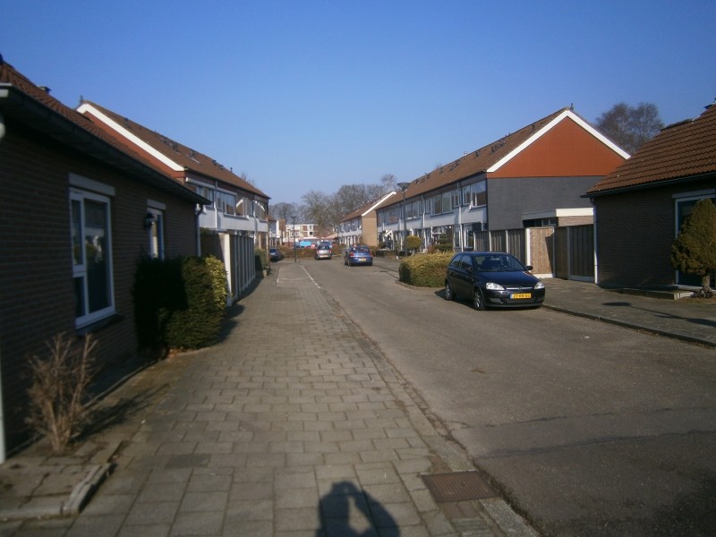 Albert Cuypstraat vanaf Jan Vermeerstraat 13-2-2017.JPG