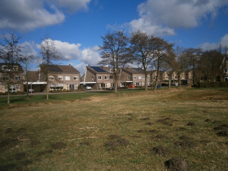 Hexelerbos gezien vanaf Zweringbeekpark.JPG