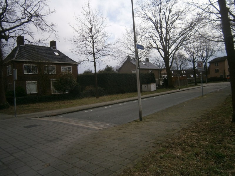 Europalaan vanaf Haaksbergerstraat.JPG