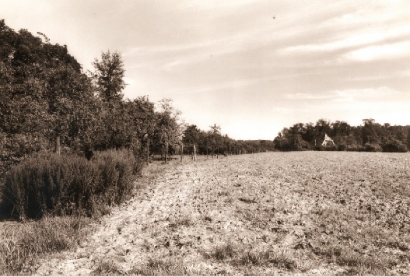 Deppenbroeksweg Hoge Es bij Grote Perik. Situatie zomer 1960. Later is dit de IJsselstraat.jpg