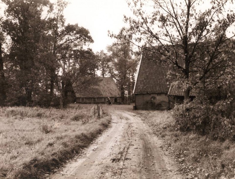 Deppenbroeksweg Zandweg met boerderij Erve Deppenbroek. Situatie zomer 1960. Later is dit de Deppenbroekstraat.jpg