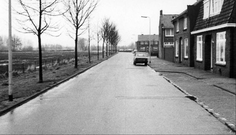 Willem Barendszstraat Links weilanden rechts woningen op de achtergrond de Gronausestraat in Glanerbrug..jpg