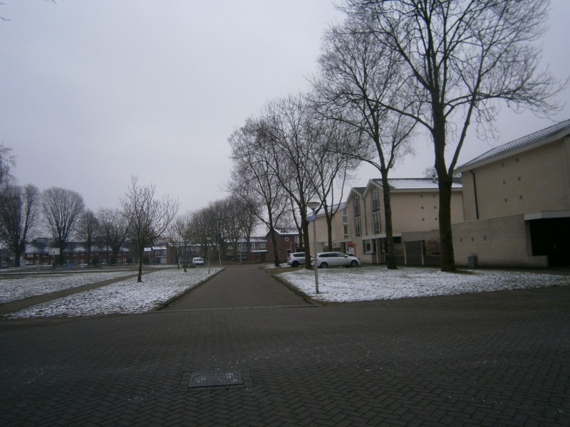 Aert van der Neerstraat vanaf de Ferdinand Bolstraat.JPG