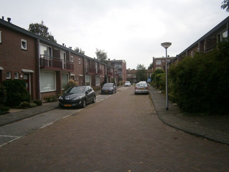 Aert van der Neerstraat richting Paulus Potterstraat 3-8-2015.JPG