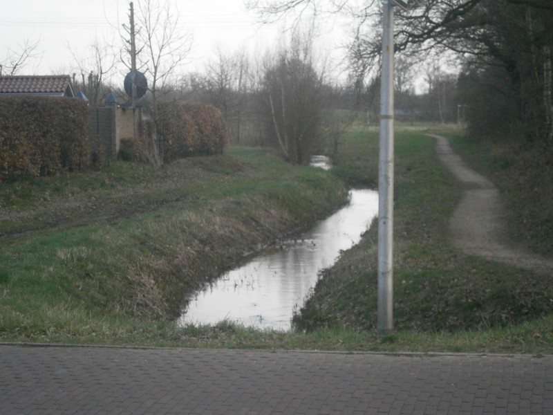 Dikkersbos met Zweringbeek.JPG