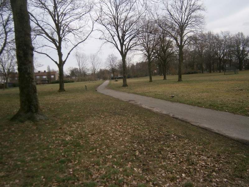 Boswinkelweg vanaf Ferdinand Bolstraat.JPG