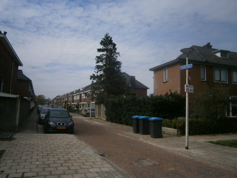 Beukstraat vanaf Kastanjestraat.JPG