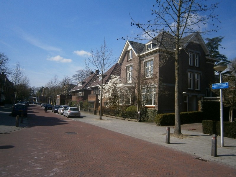 Bisschopstraat hoek Prinsestraat.JPG