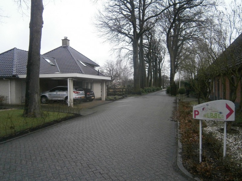 Borgbos richting Haaksbergerstraat.JPG