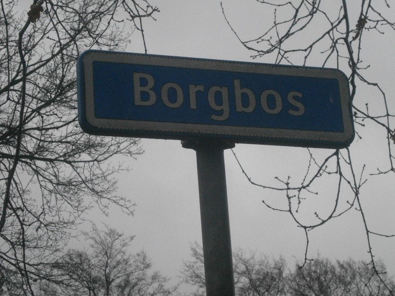 Borgbos straatnaambord.JPG