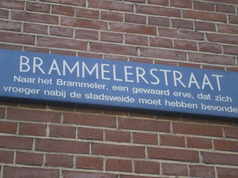 Brammelerstraat straatnaambord.JPG