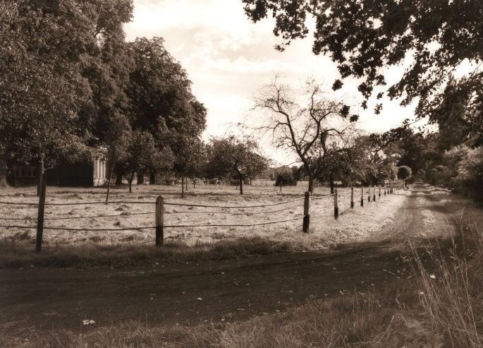 Elsmaatweg Bolhaar in 1959. Weiland met zandweg.jpg