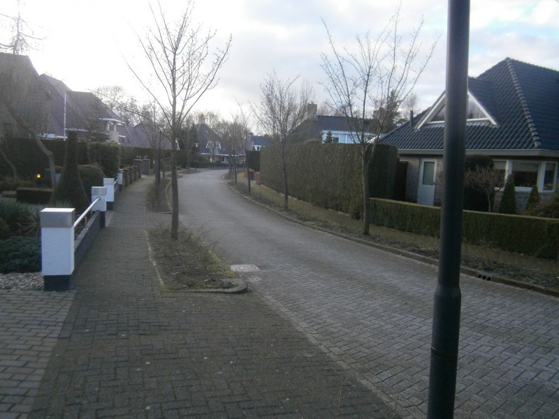 Weldammerbos vanaf Helmerzijdeweg.JPG