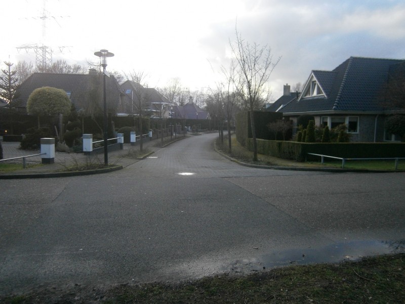 Weldammerbos hoek Helmerzijdeweg.JPG