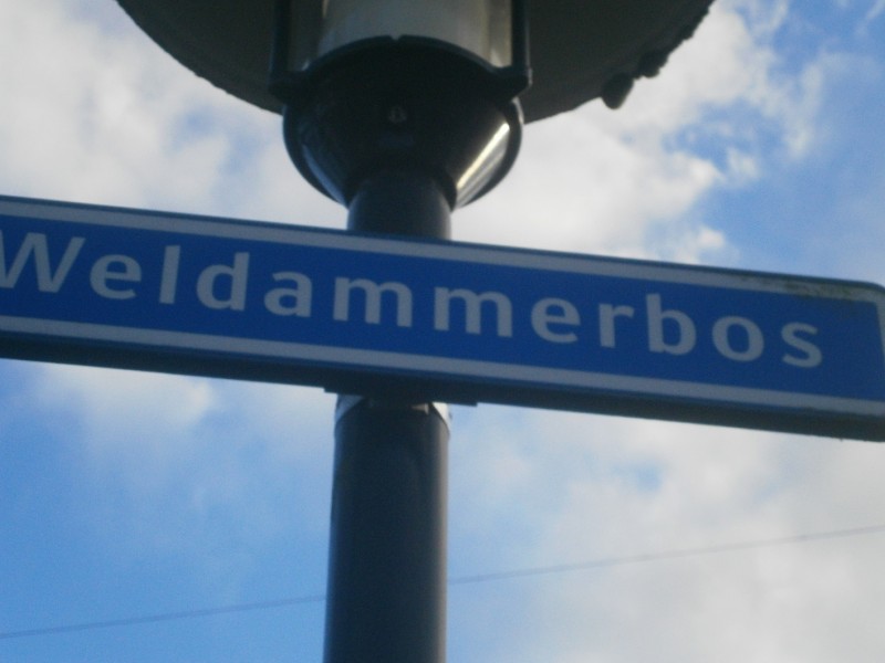 Weldammerbos straatnaambord.JPG