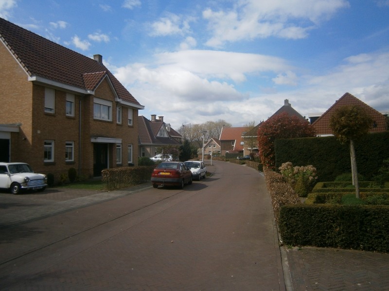 Amelandlaan.JPG