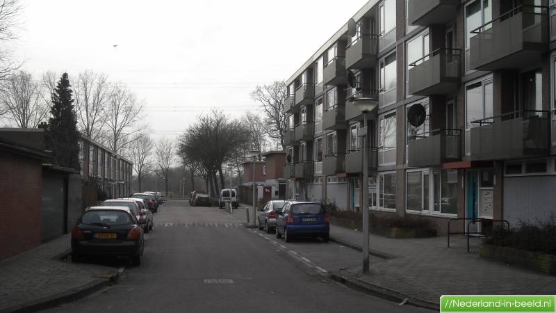 Antwerpenstraat gezien vanaf de Beneluxlaan, rechts de flat die destijds gebouwd is voor de Vredesteinbandenfabriekarbeiders.jpg
