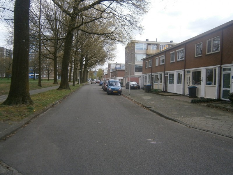 Beneluxlaan vanaf Nederlandlaan.JPG