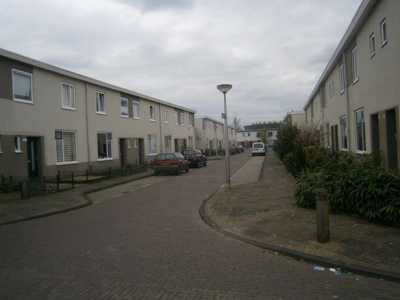 Bernard Zweerstraat vanaf Mr. Henri Viottastraat.JPG