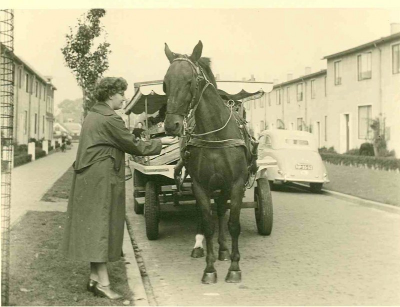 Snelliusstraat 9-10-1953 Paard en wagen van de groenteman.jpg