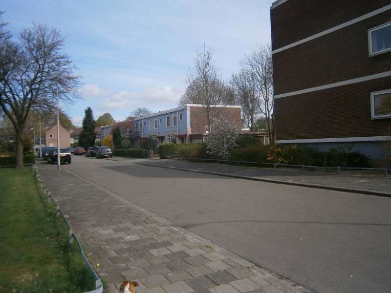 Gerard Terborghstraat vanaf Thomas de Keyserstraat richting Pieter Lastmasnstraat.JPG