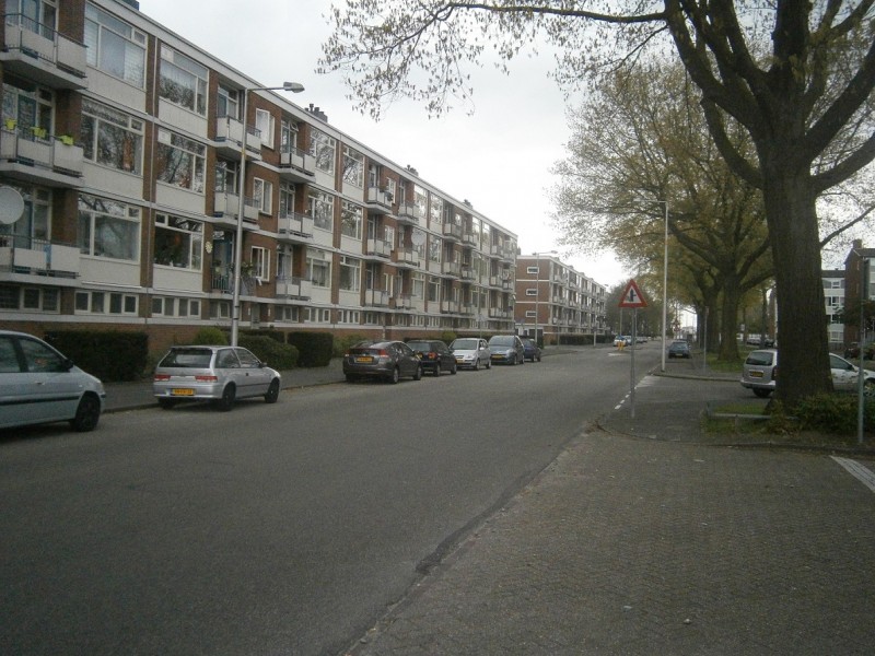 Rembrandtlaan richting Westerval.JPG